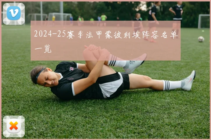 2024-25赛季法甲蒙彼利埃阵容名单一览
