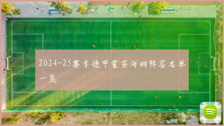 2024-25赛季德甲霍芬海姆阵容名单一览